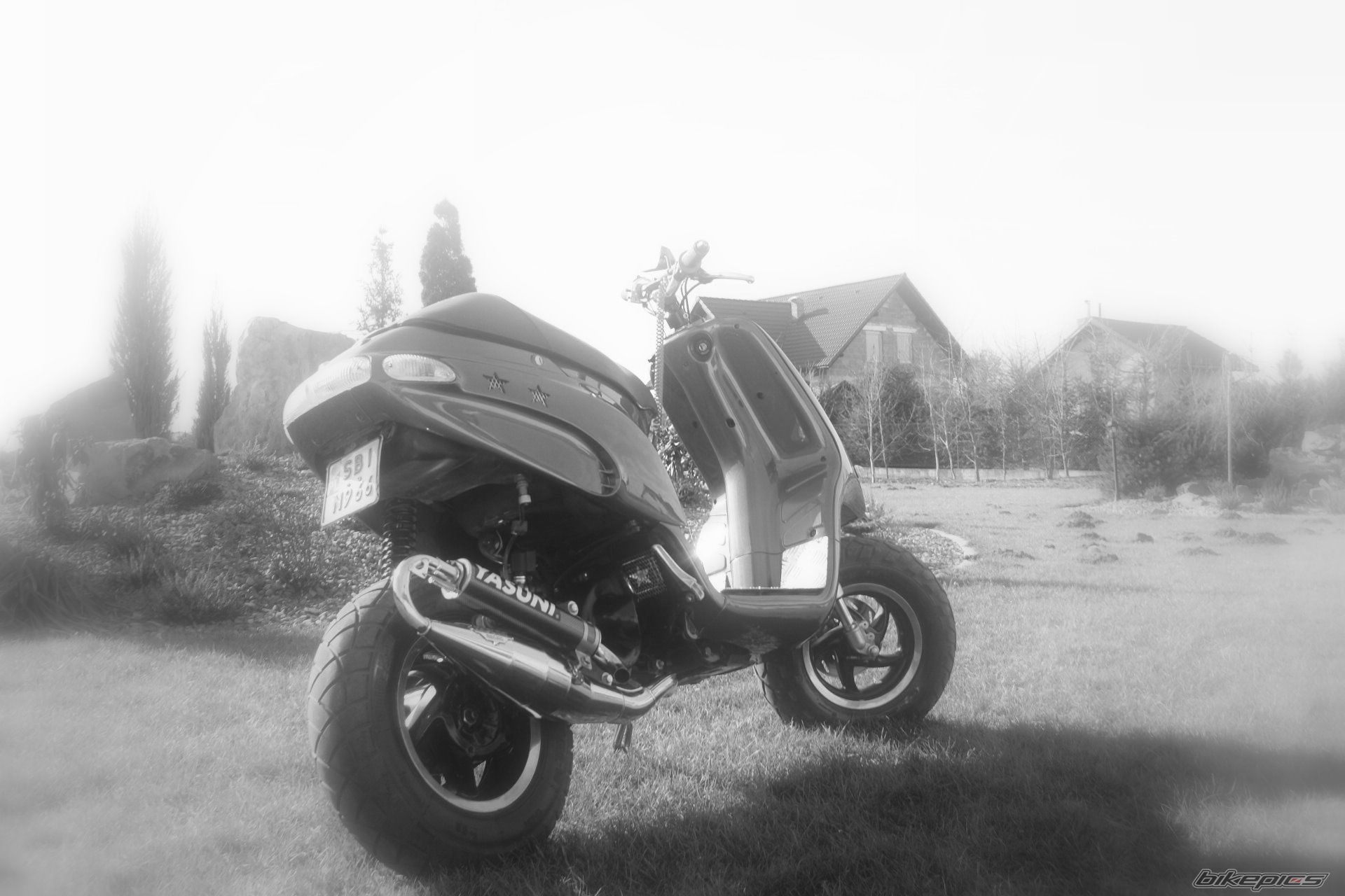 Photo 1197912