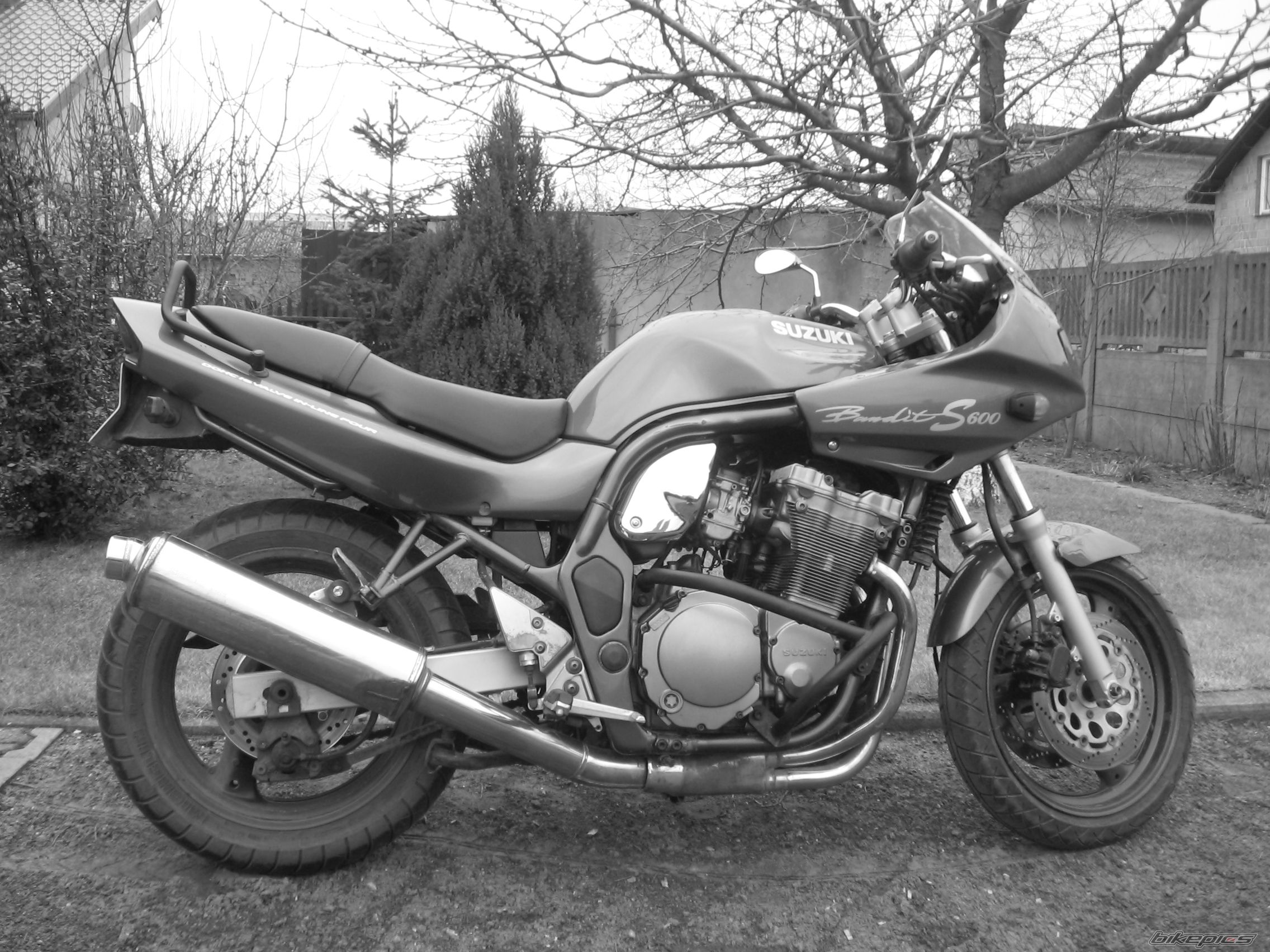 Photo 1197946