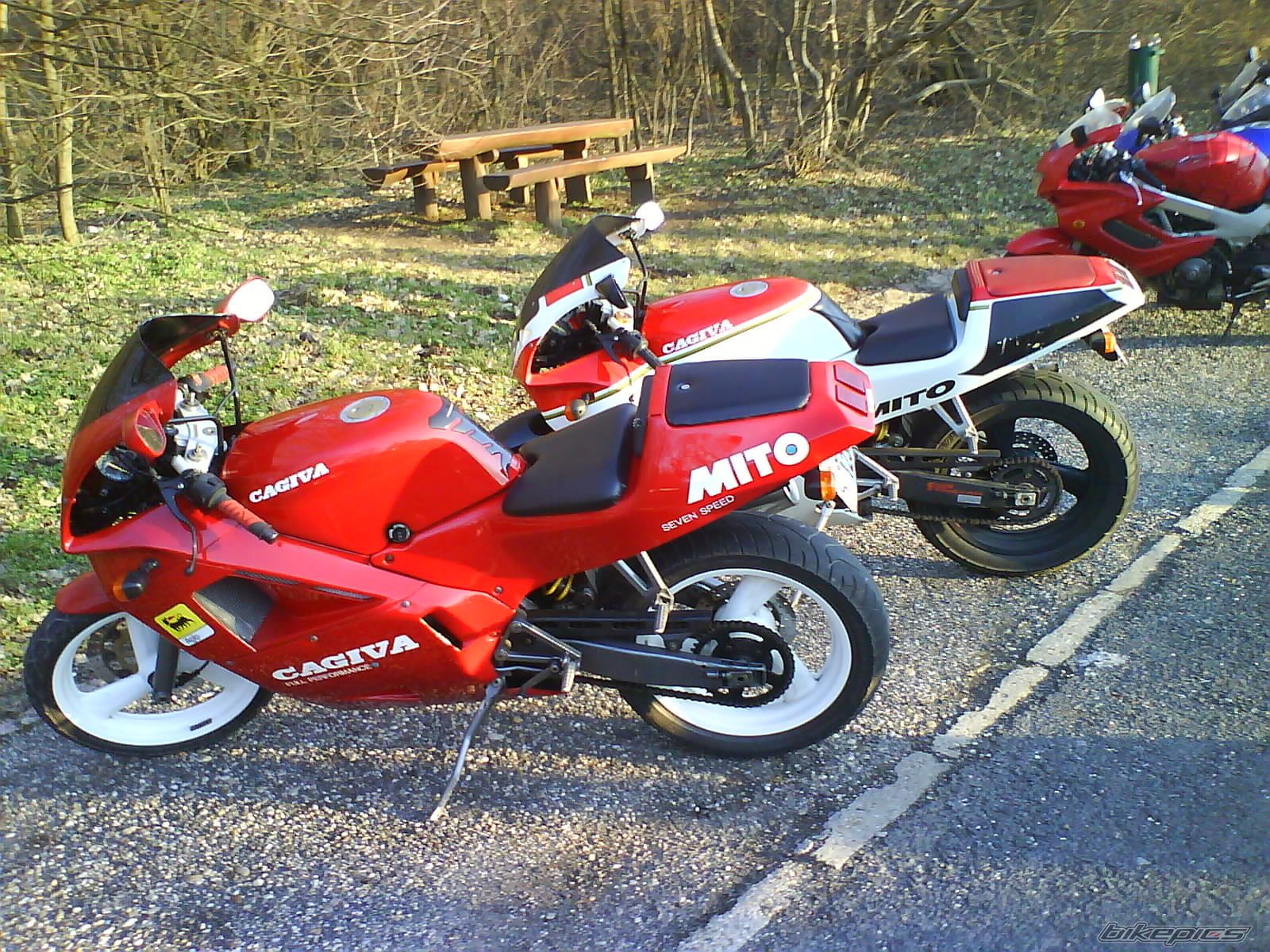 Photo 1198084