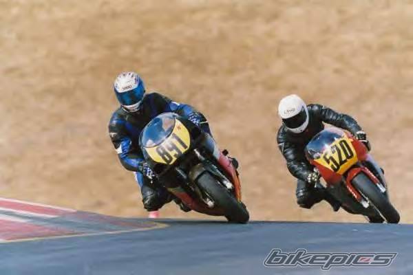 Photo 11981