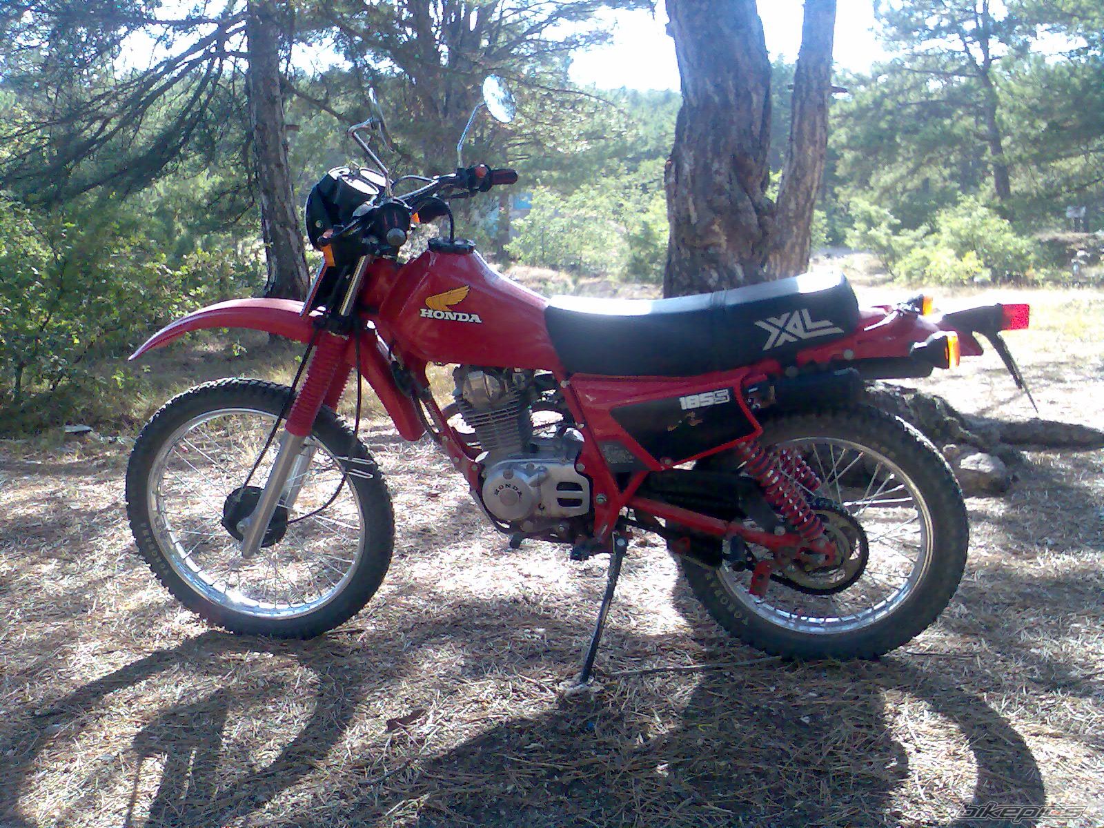 Photo 1198152