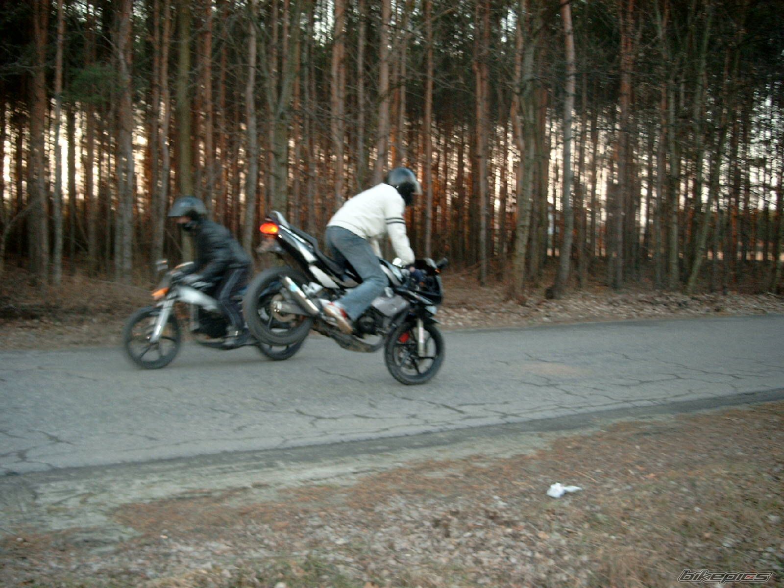 Photo 1198223