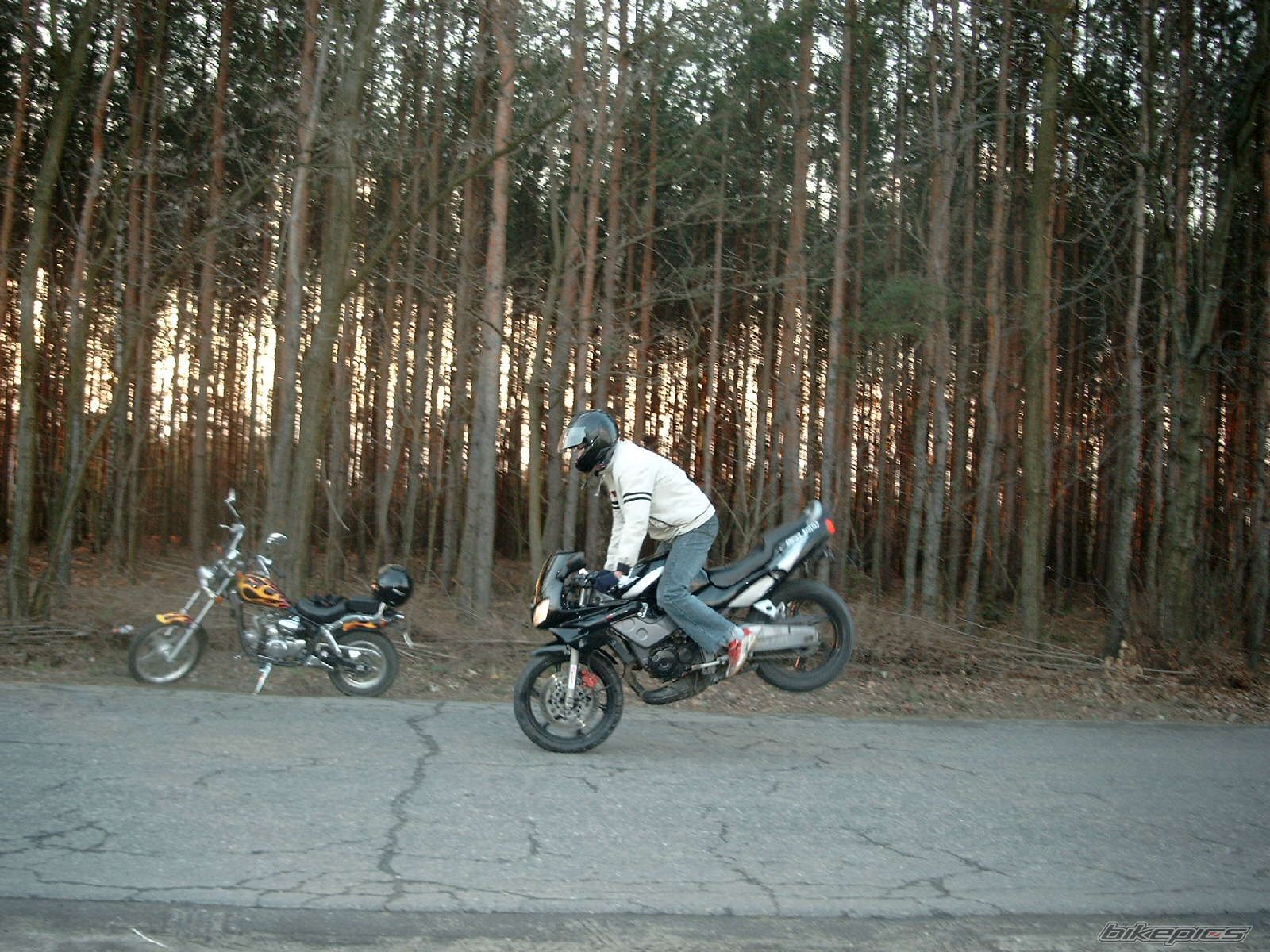 Photo 1198231