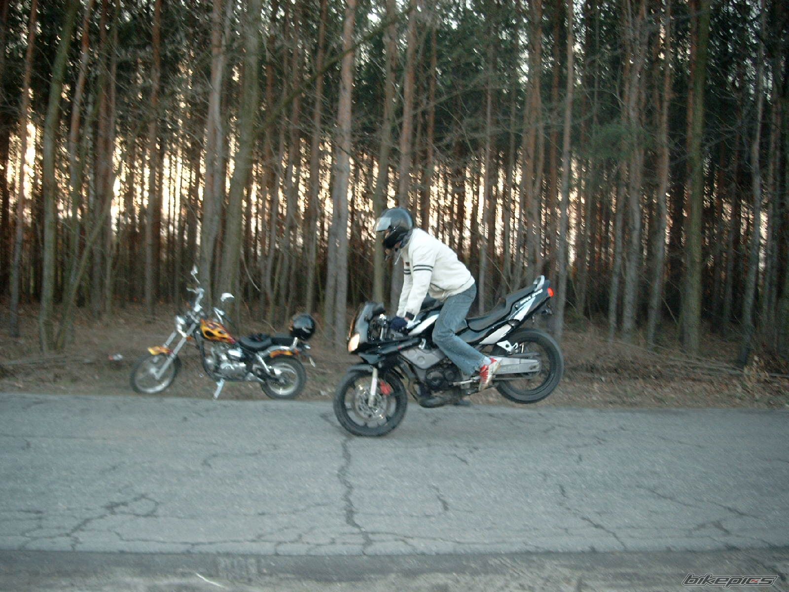 Photo 1198235