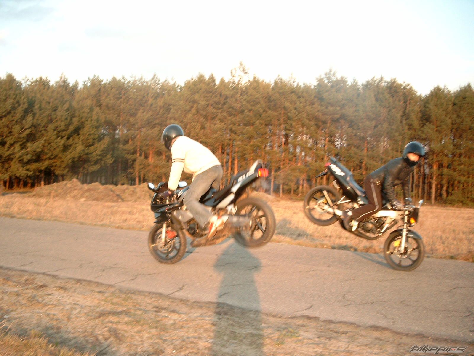 Photo 1198289