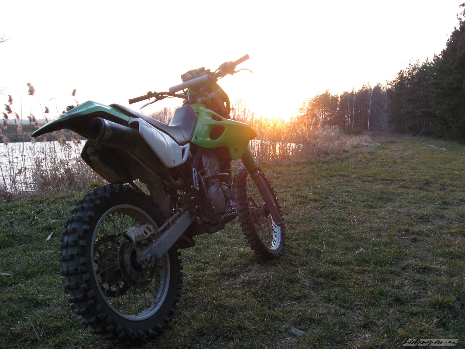 Photo 1198350