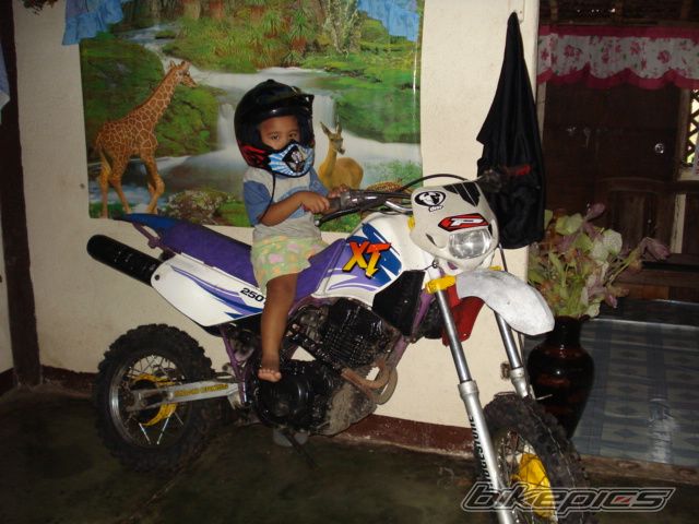 Photo 1198482