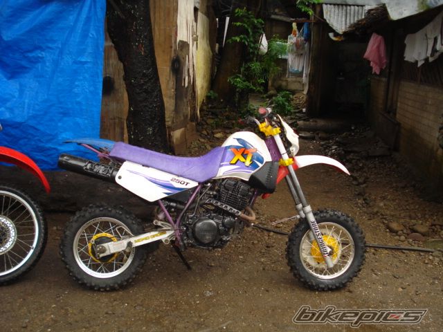 Photo 1198483