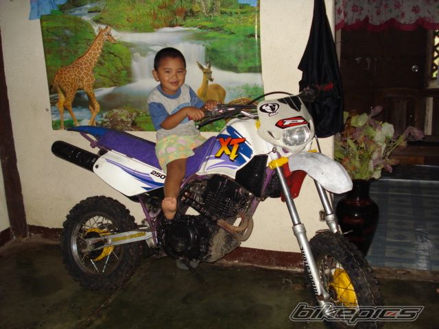 Photo 1198488