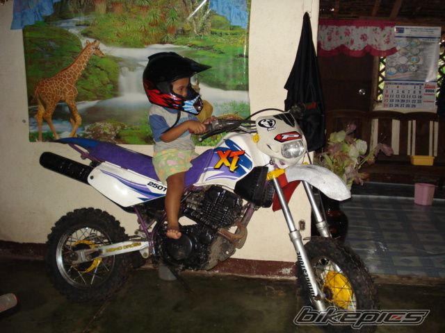 Photo 1198494