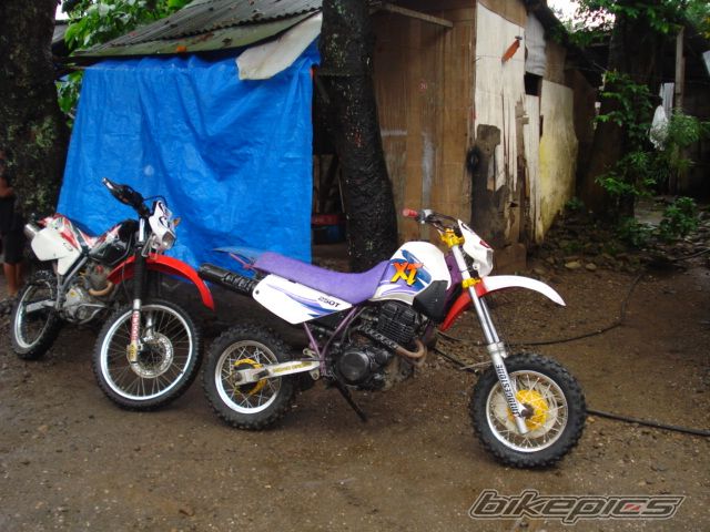 Photo 1198495