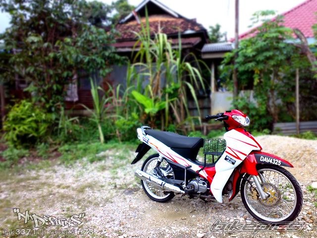 Photo 1198505