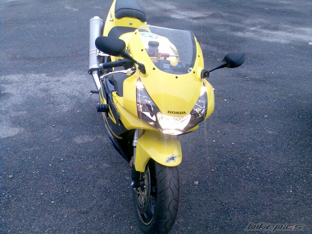 Photo 1198530