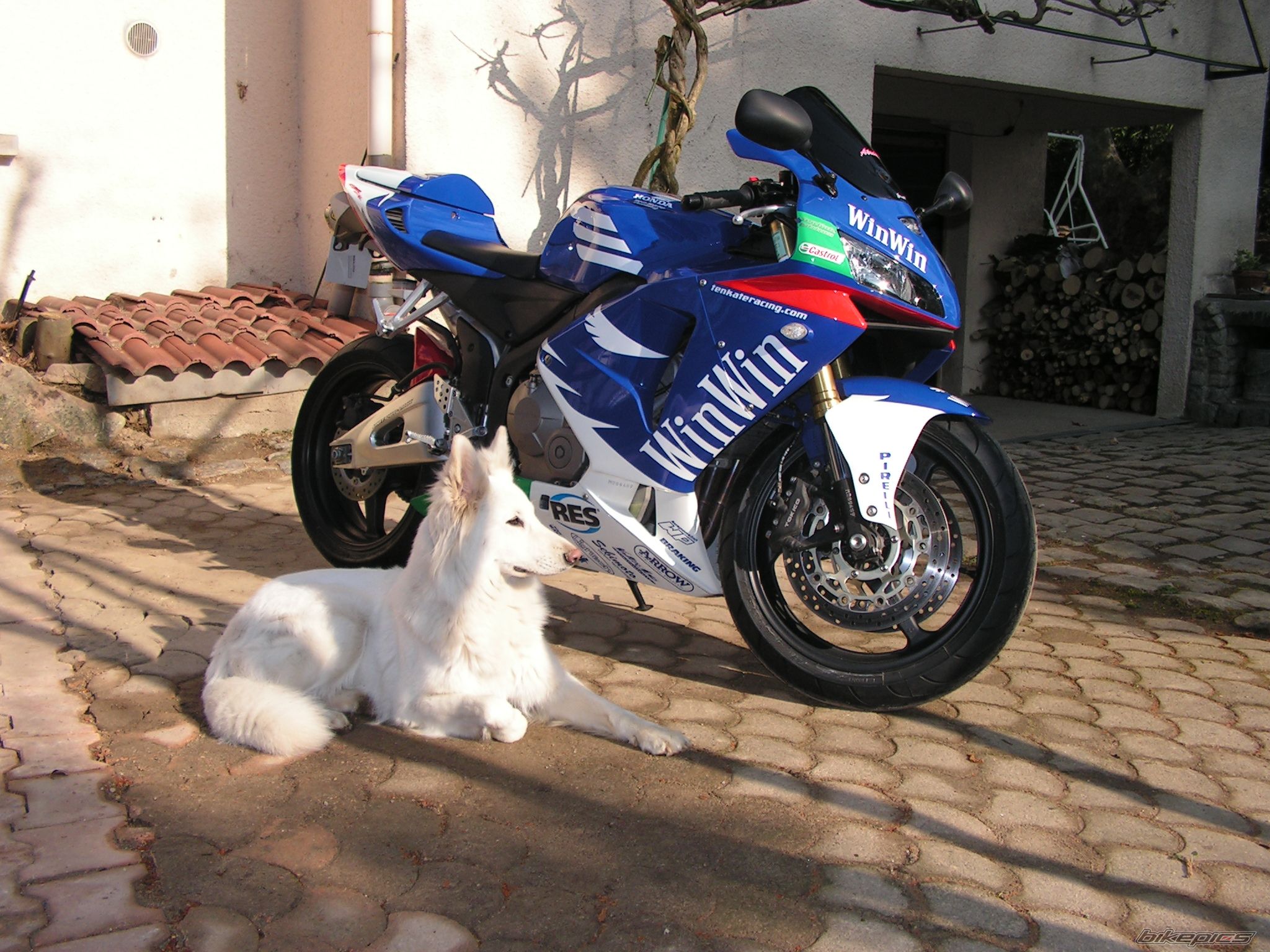 Bike Photo 1198627