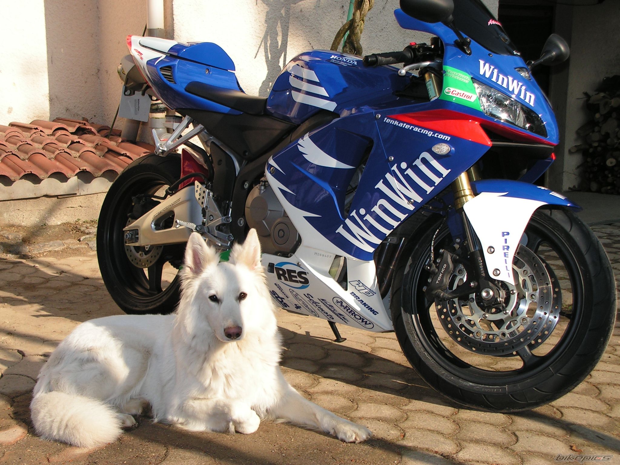 Bike Photo 1198629