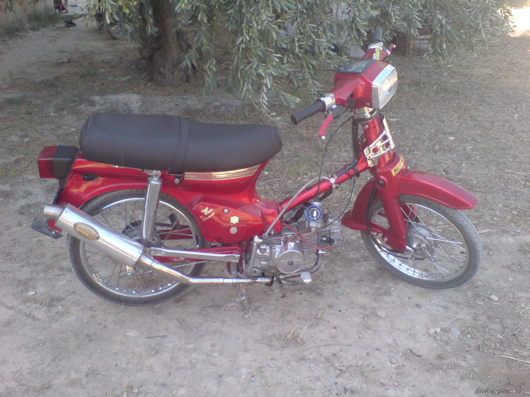 Photo 1198691