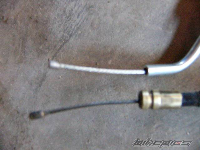 Photo 119876