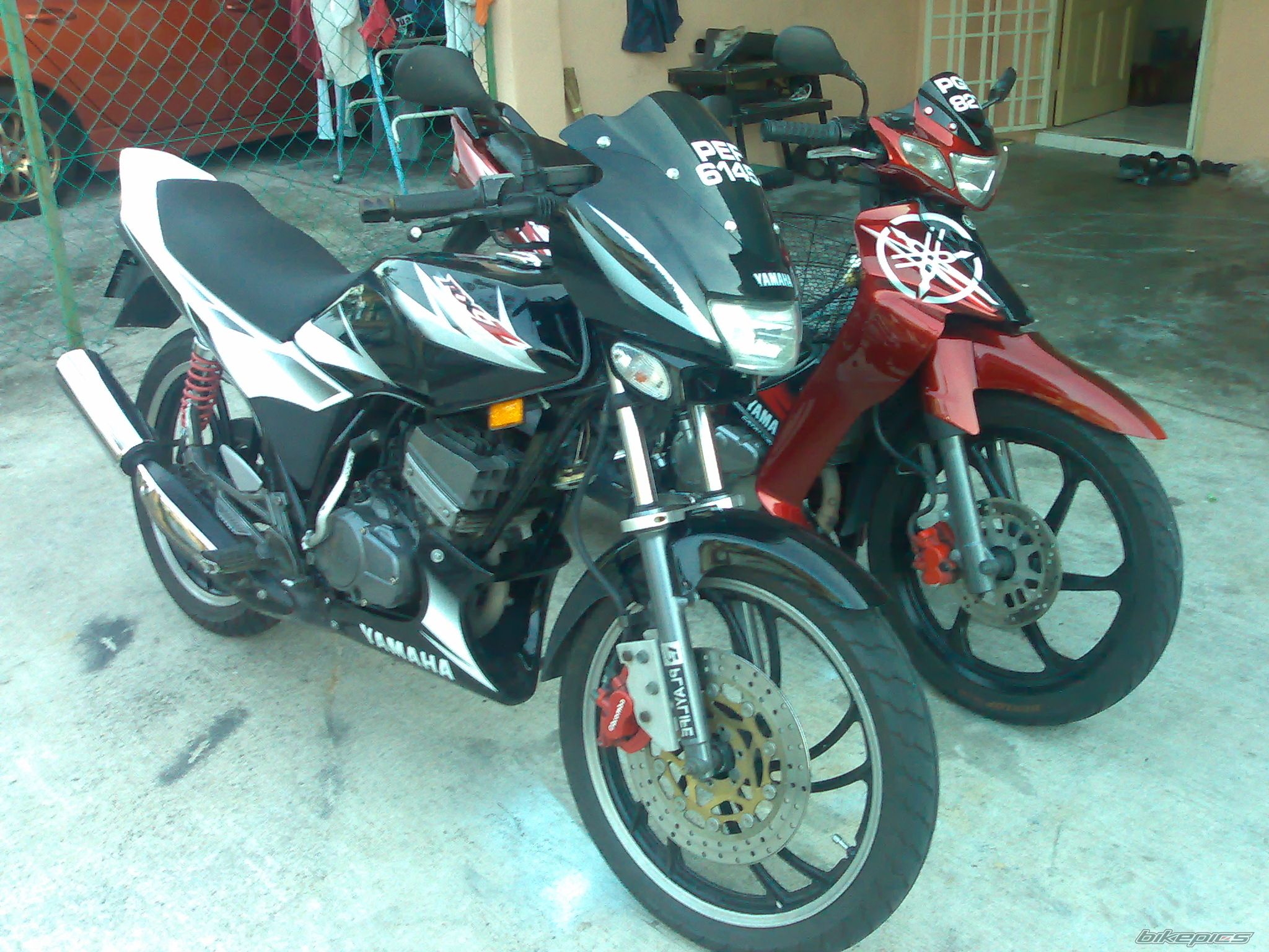 Photo 1198792