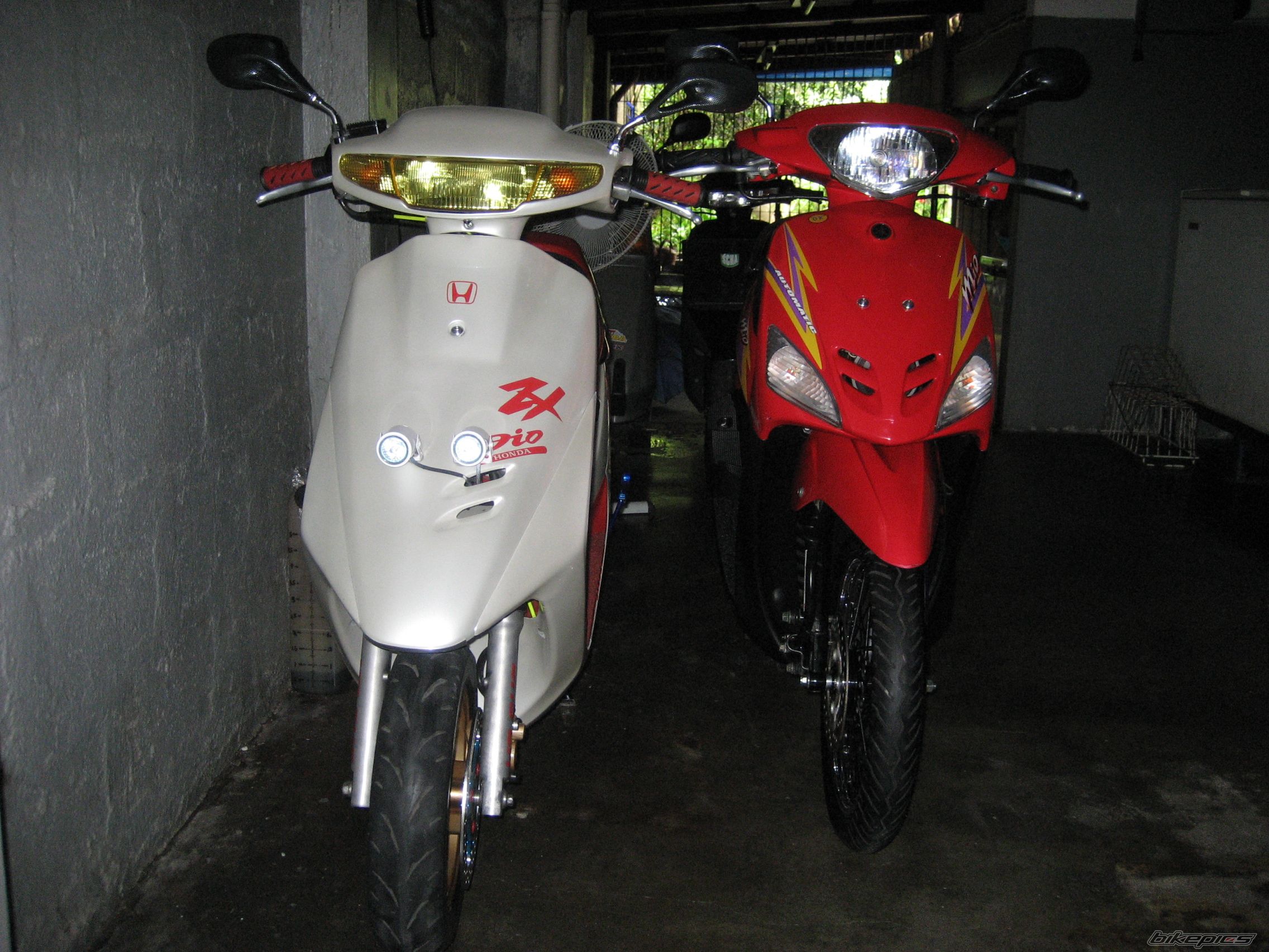 Photo 1198798