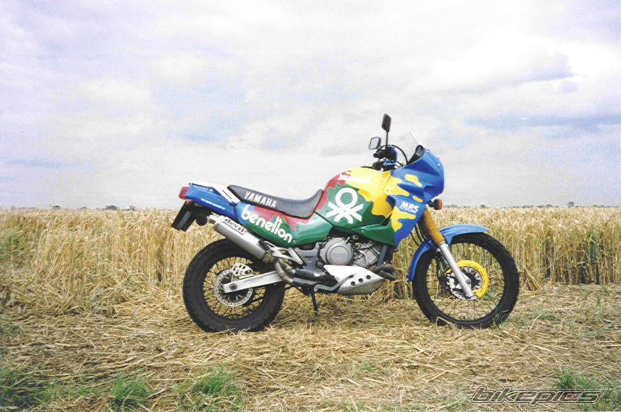Photo 11988
