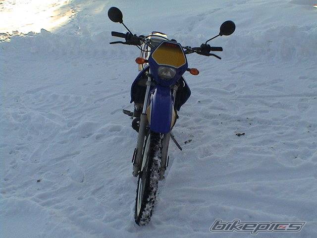 Bike Photo 119881