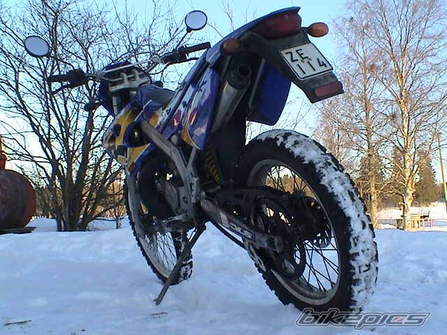 Photo 119885