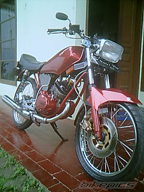 Photo 1198944