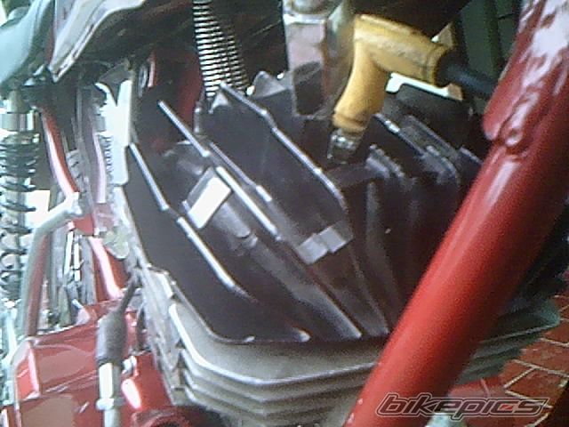 Photo 1198947