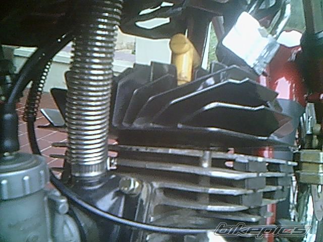 Photo 1198972