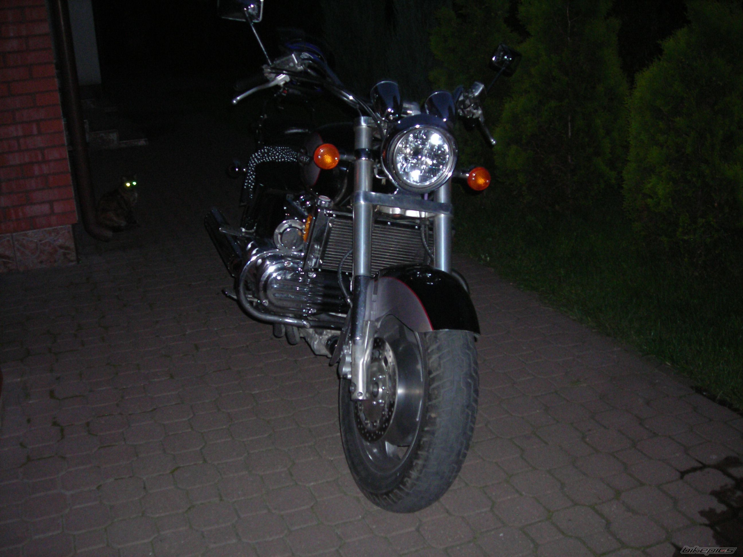 Photo 1198977