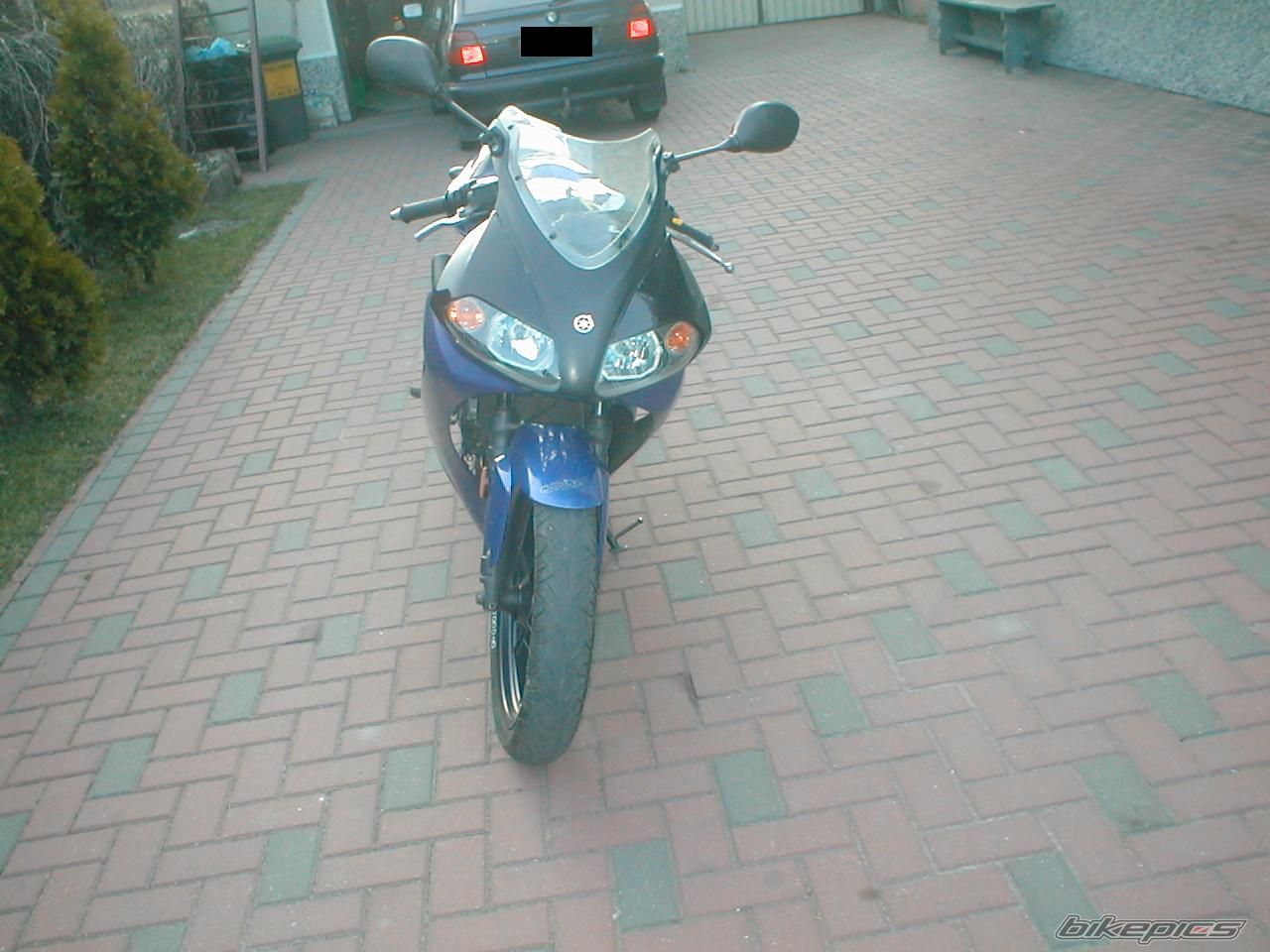 Photo 1199093