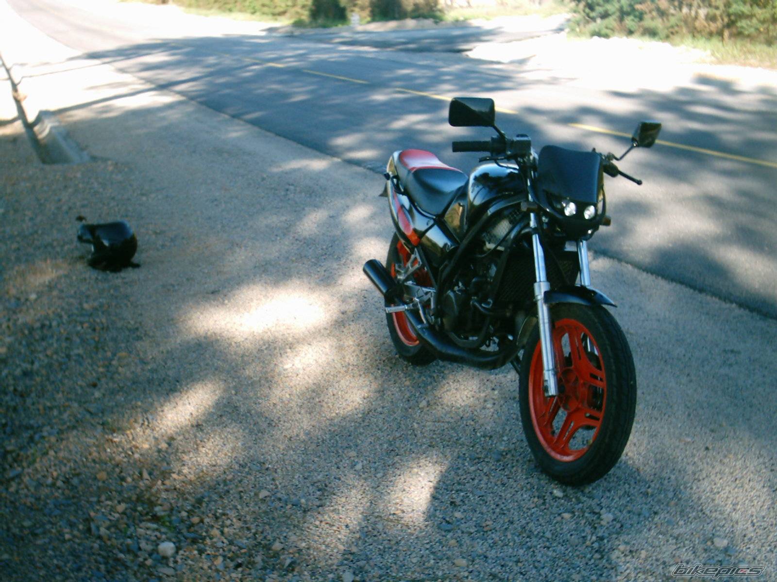 Photo 119919