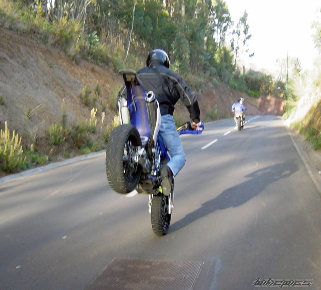 Photo 119922