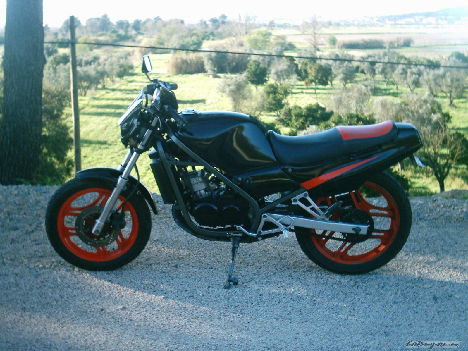 Photo 119924