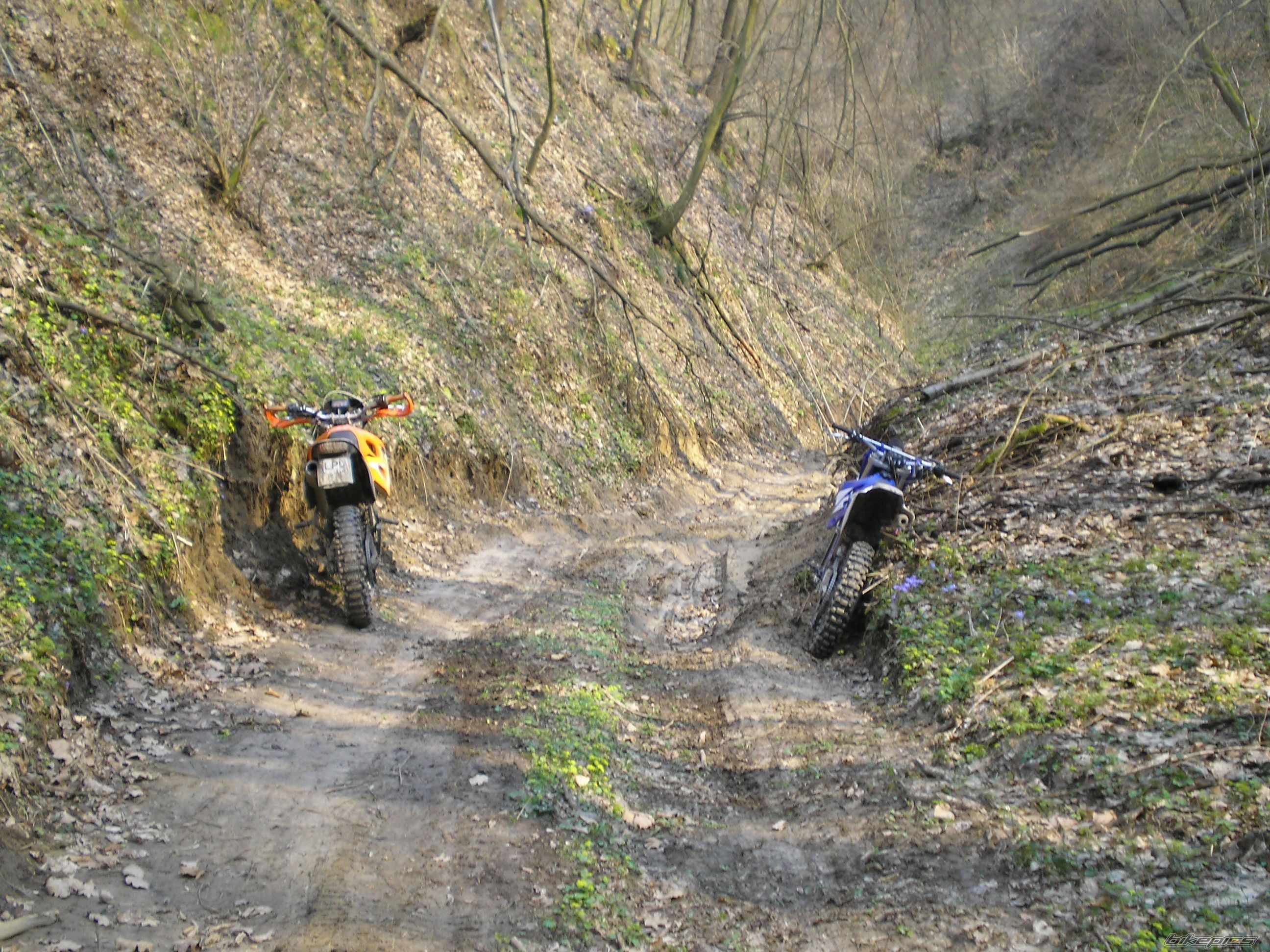 Bike Photo 1199273