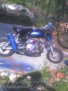 Bike Photo 1199368