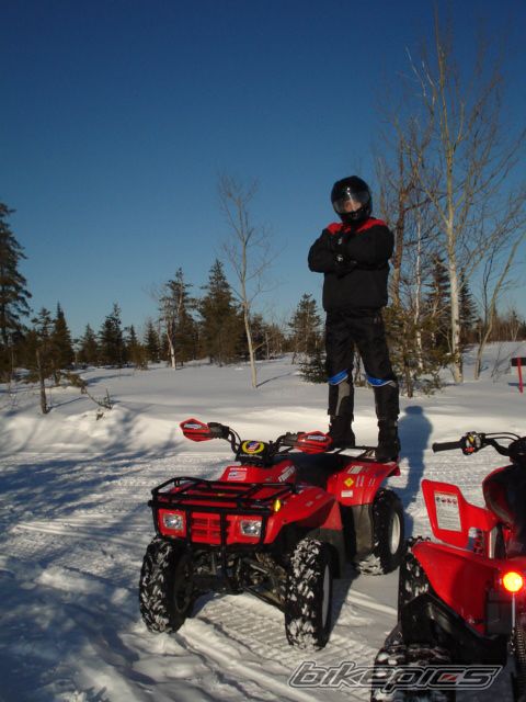 Photo 1199391