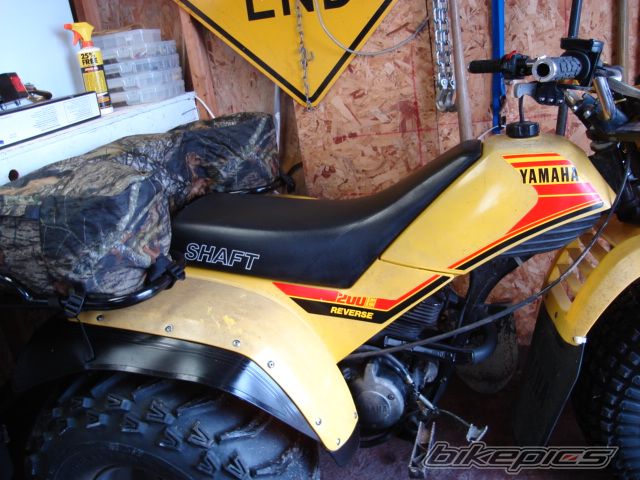 Photo 1199438