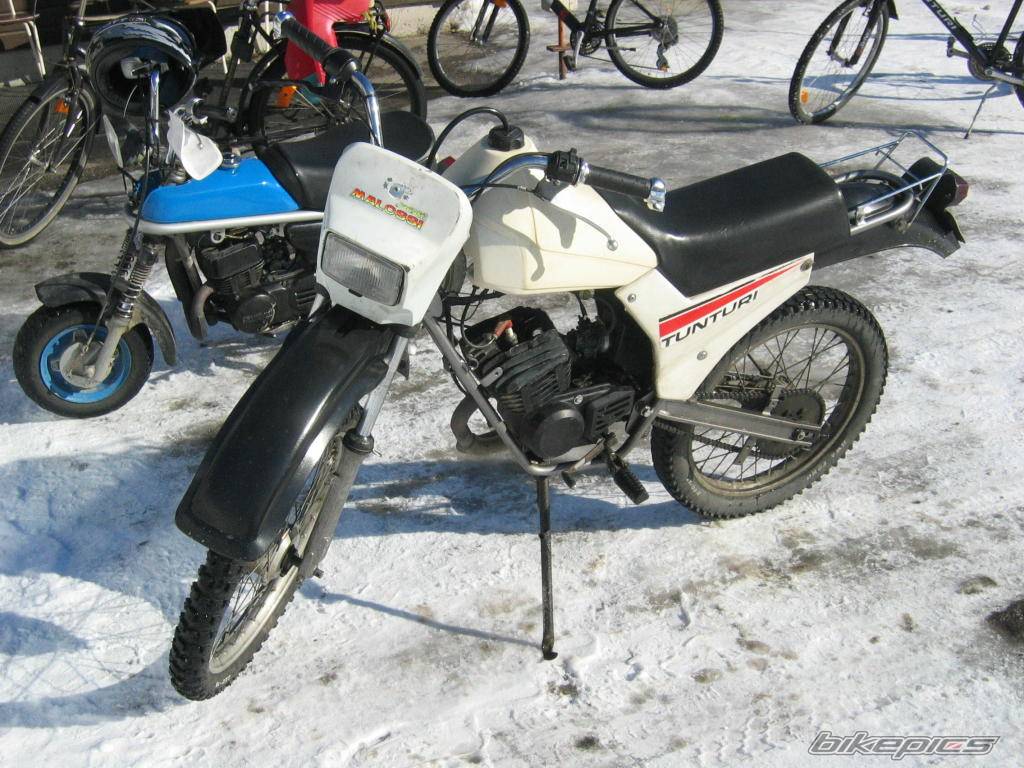 Photo 119953
