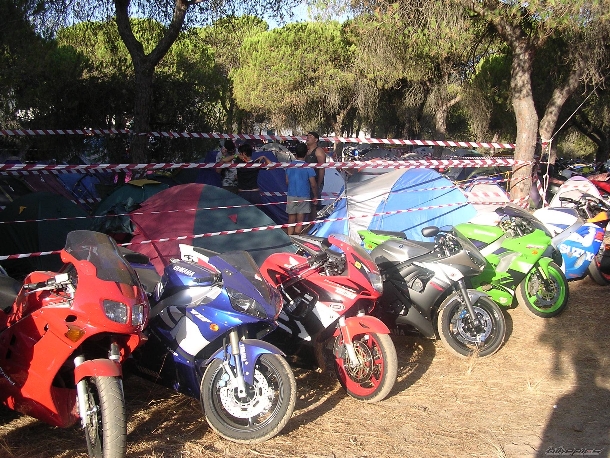 Photo 119955