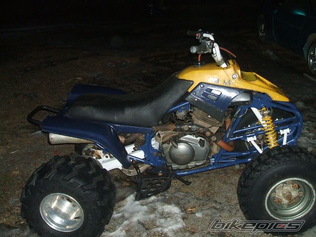 Photo 1199562