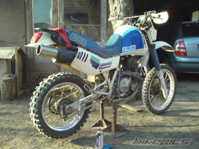 Photo 1199683