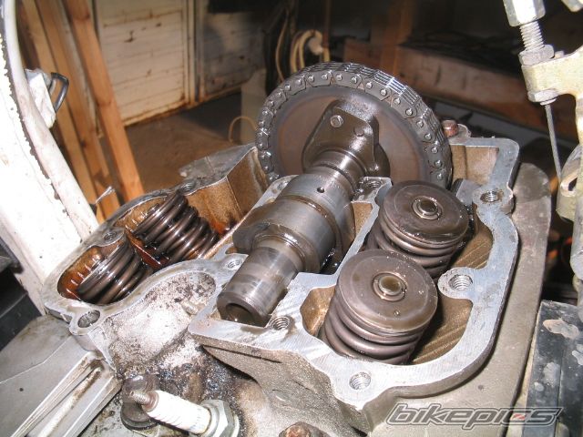Photo 1199692
