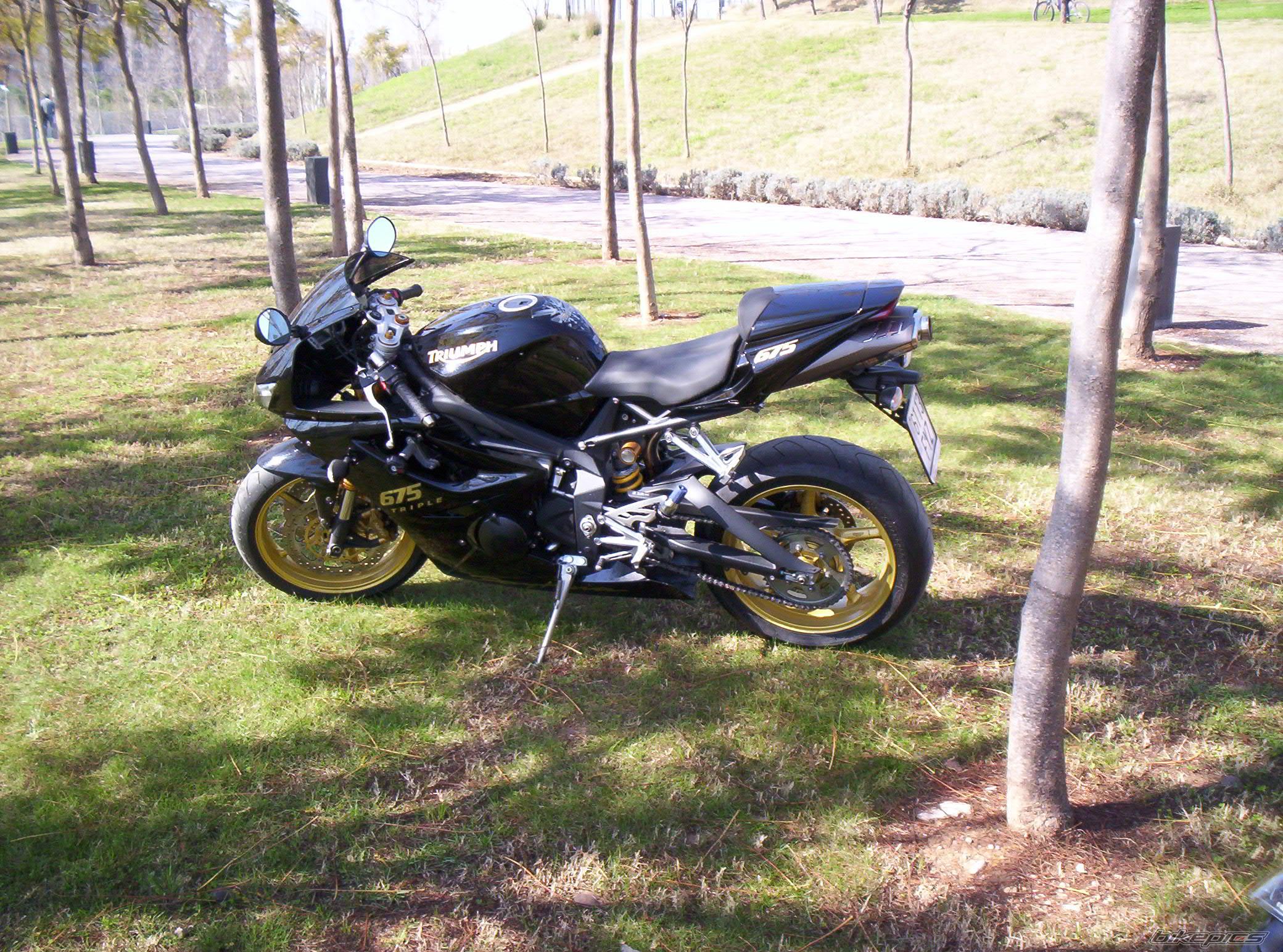 Photo 1199774