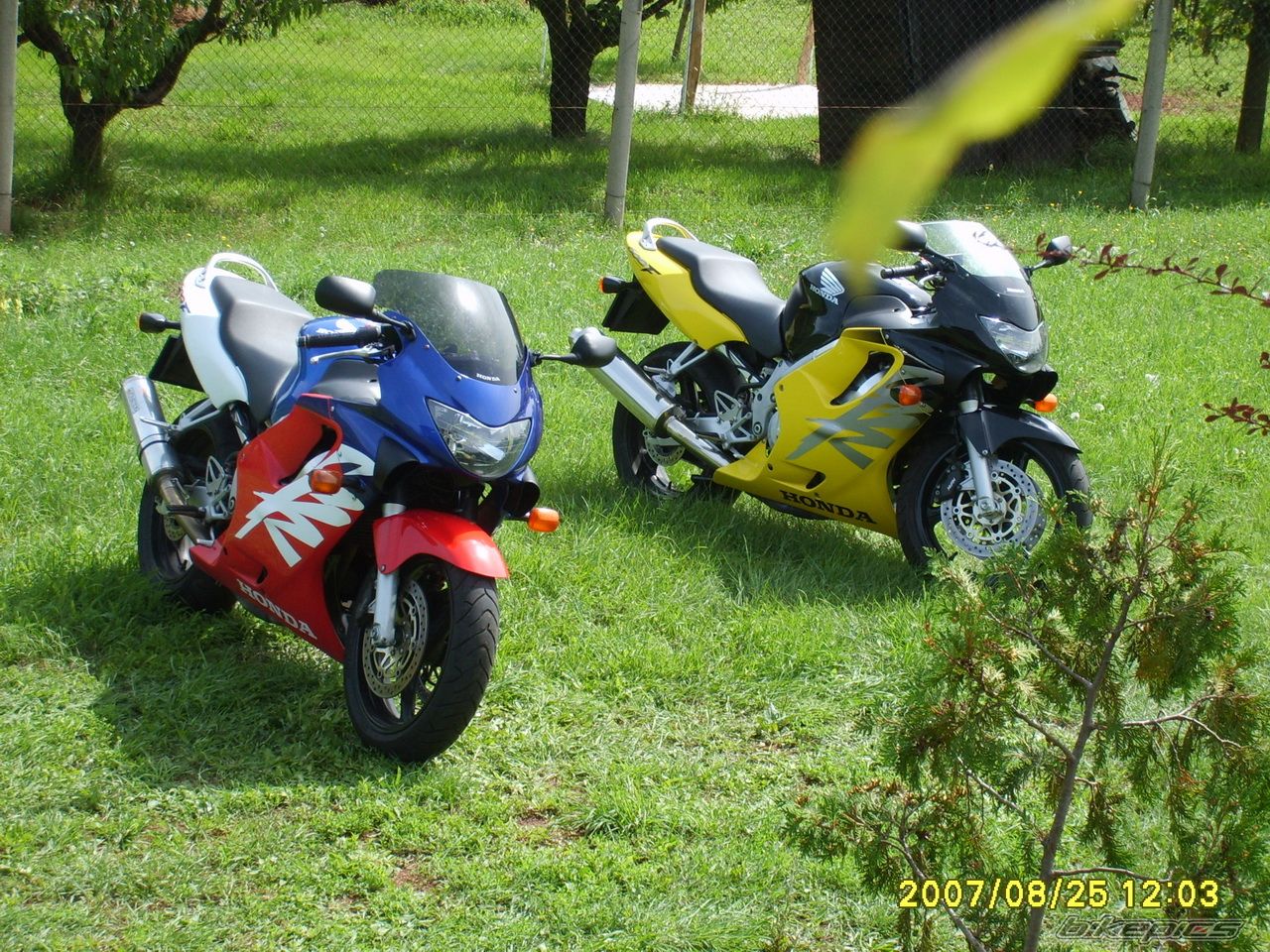 Photo 1199844