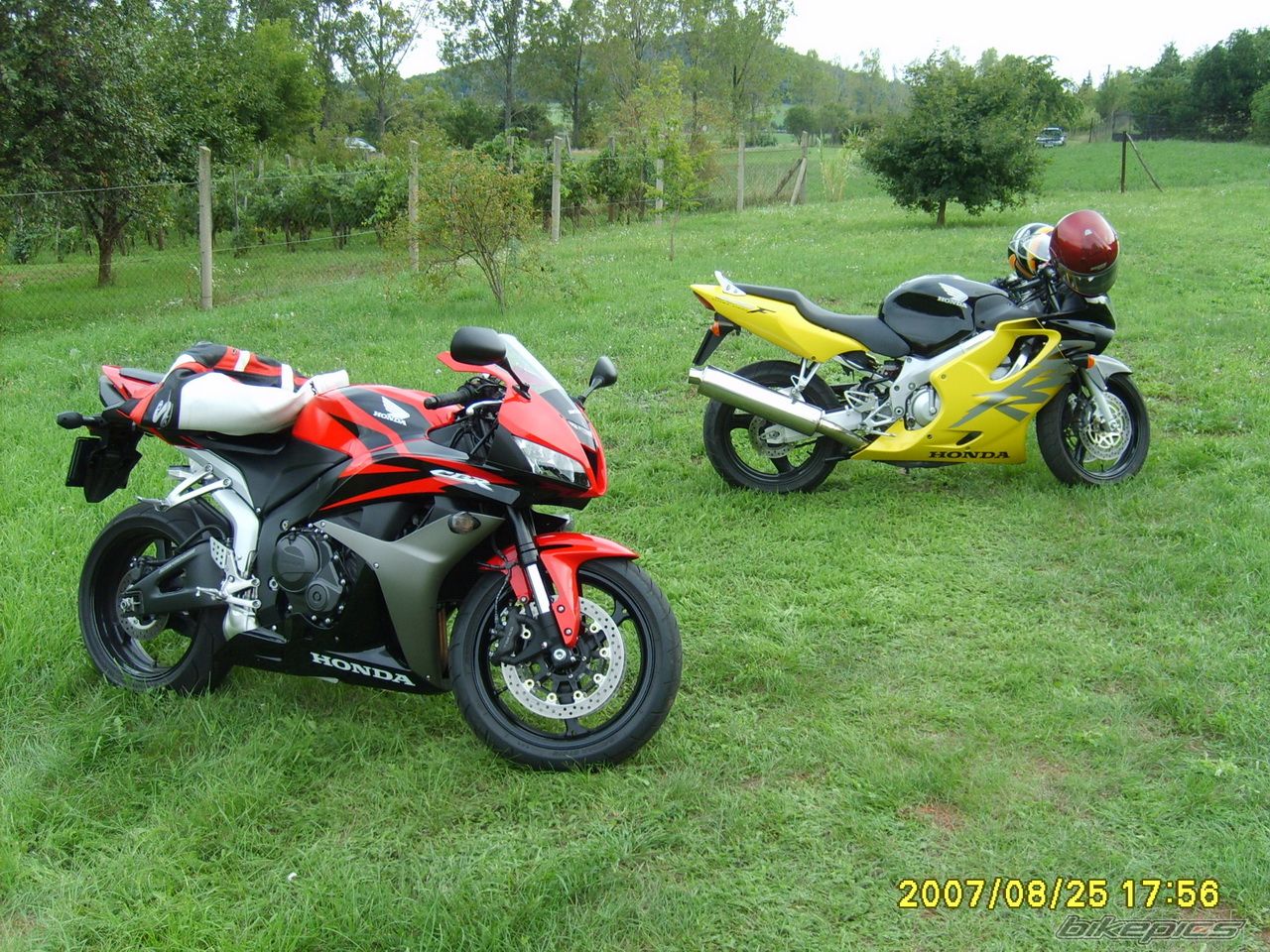 Photo 1199846
