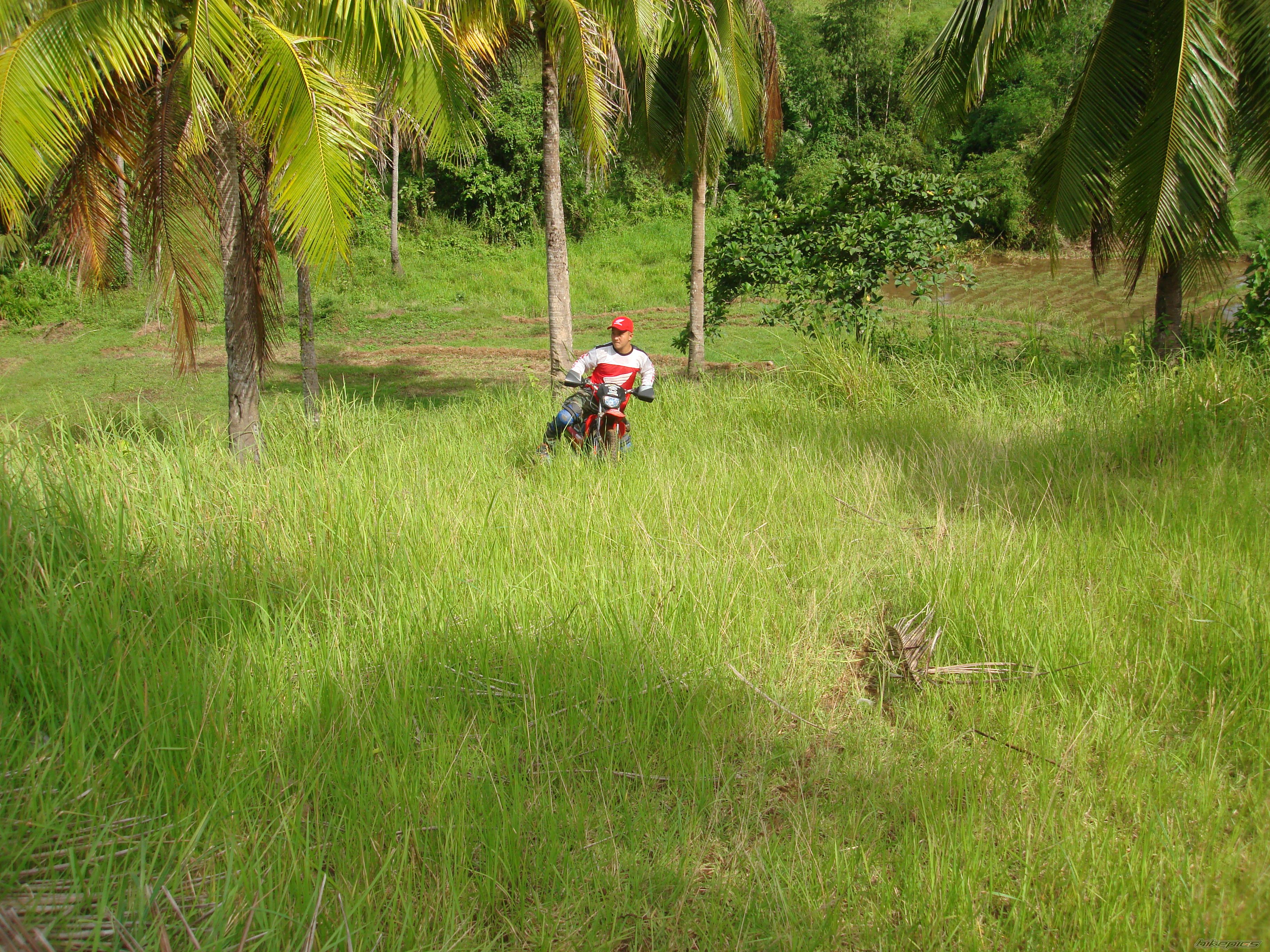 Photo 1199867