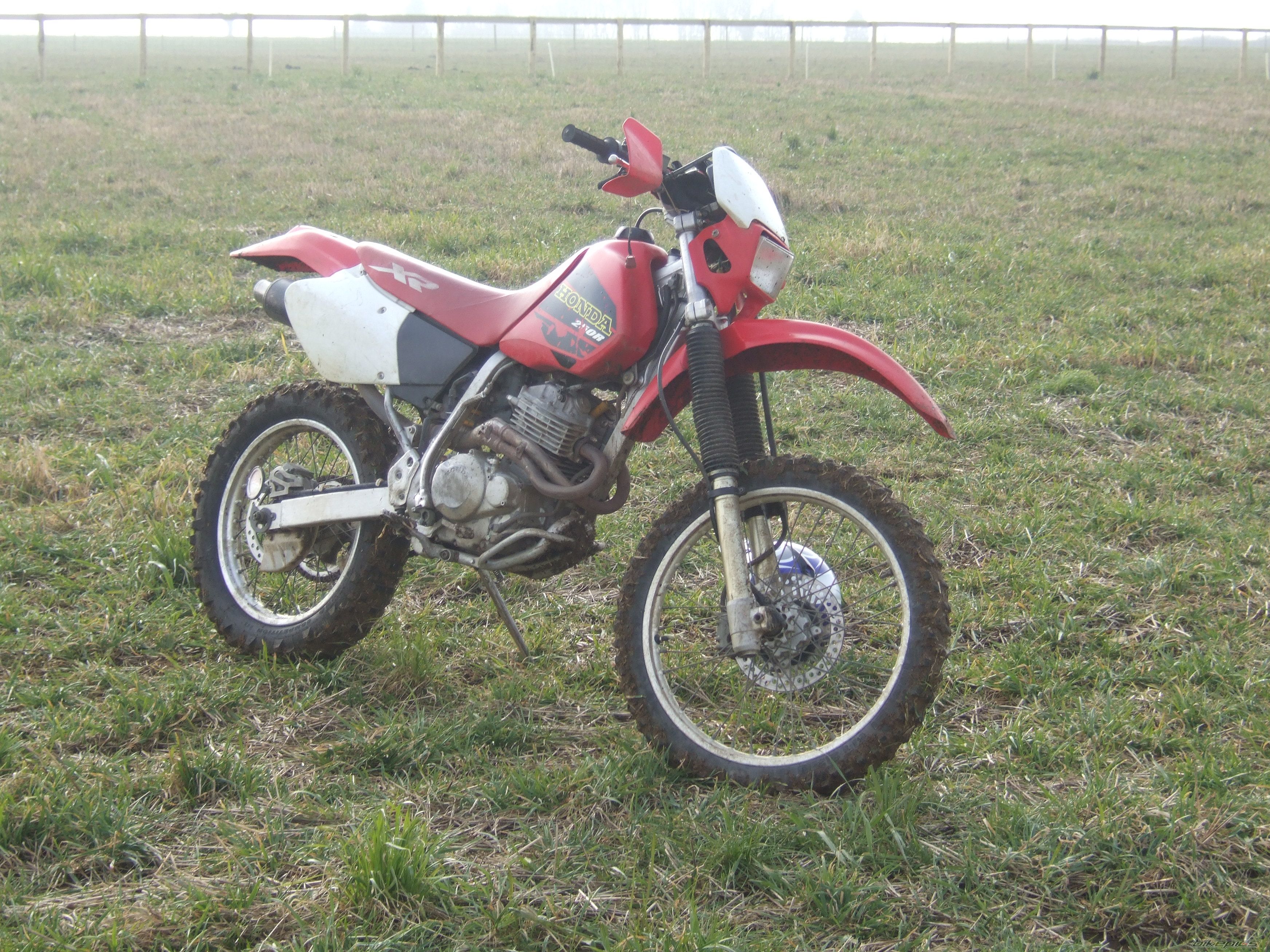 Photo 1199919