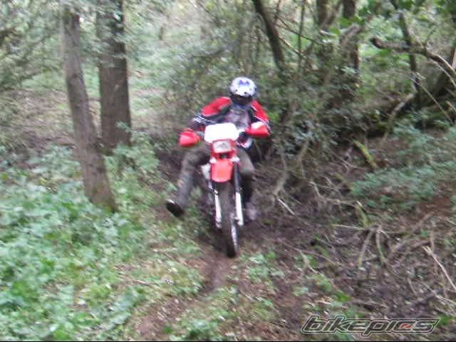 Photo 1199930
