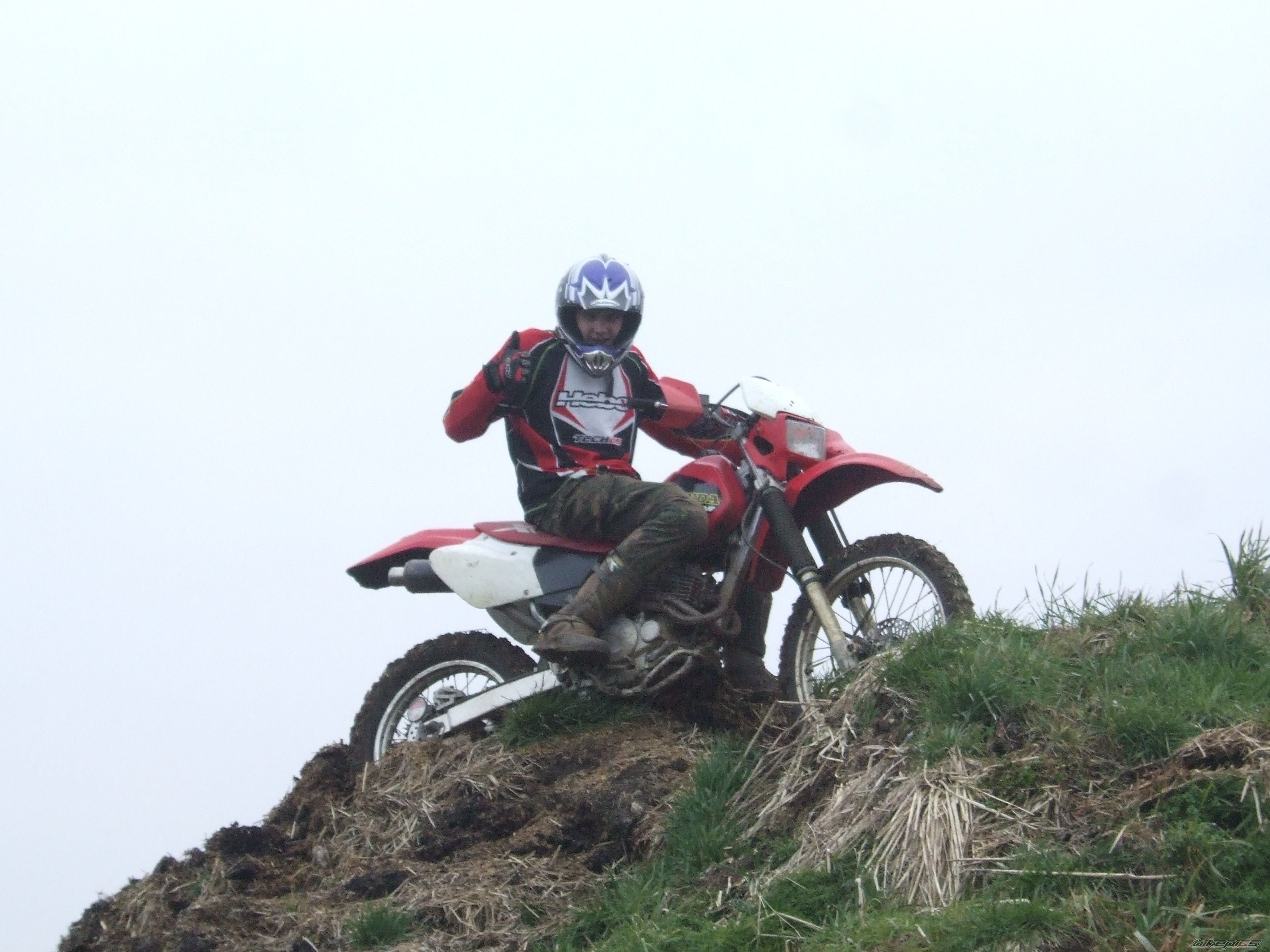Photo 1199935